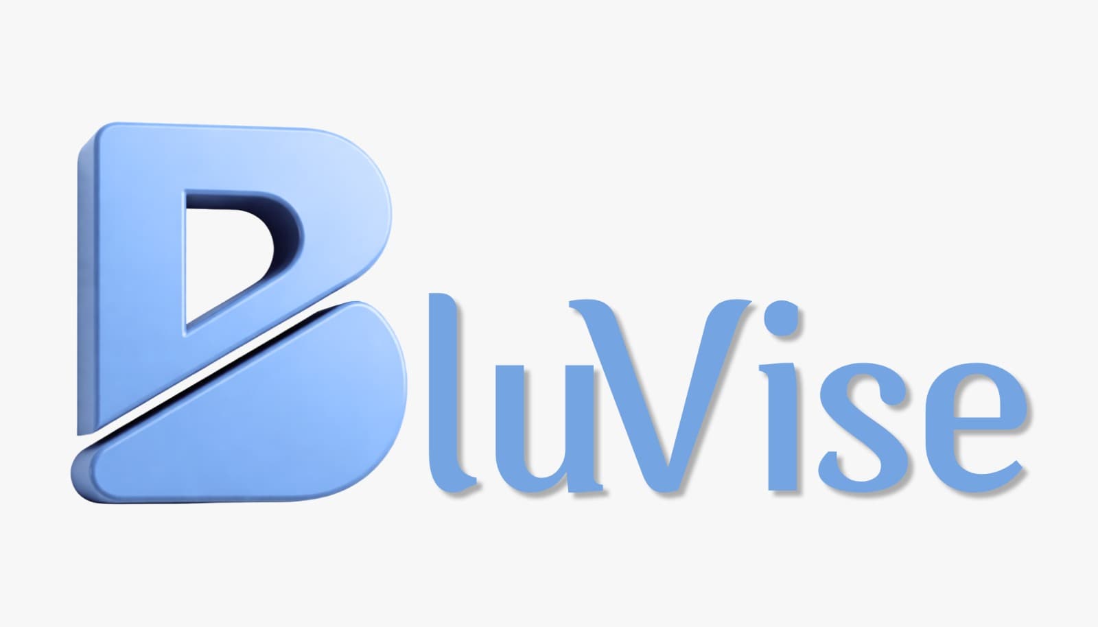 Bluvise logo